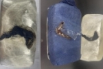 PF deflagra contra o Tráfico de Drogas em Rondônia