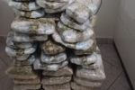 PRF em Rondônia apreende quase 40 kg de entorpecentes e arma de fogo após acompanhamento tático