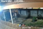 Membros de facção são presos suspeitos de matarem jovem a tiros durante churrasco em MT