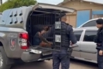 Operação fecha 22 pontos de drogas, prende 11, apreende armas, munições e R$ 167 mil em espécie
