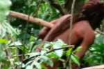 Plano que cria Parque Nacional Tanaru em Rondônia é homologado pelo STF