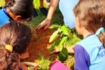 Prefeitura de Ariquemes celebra o Dia da Árvore com plantio simultâneo em todas as escolas municipais