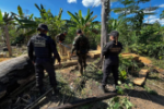 PF deflagra opera&ccedil;&atilde;o contra grilagem e inc&ecirc;ndio criminoso em terra ind&iacute;gena em Rond&ocirc;nia