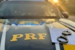 PRF em Rond&ocirc;nia cumpre 4 mandados de pris&atilde;o em menos de 24 horas