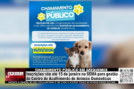 CHAMAMENTO P&Uacute;BLICO EM ARIQUEMES &ndash; Inscri&ccedil;&otilde;es v&atilde;o at&eacute; 15 de janeiro na SEMA para gest&atilde;o do Centro de Acolhimento de Animais Dom&eacute;sticos &ndash; V&iacute;deo