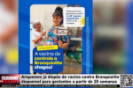 Ariquemes j&aacute; disp&otilde;e de vacina contra Bronquiolite dispon&iacute;vel para gestantes a partir de 28 semanas &ndash; V&iacute;deo