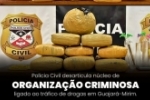 POL&Iacute;CIA CIVIL DESARTICULA N&Uacute;CLEO DE ORGANIZA&Ccedil;&Atilde;O CRIMINOSA LIGADO AO TR&Aacute;FICO DE DROGAS EM GUAJAR&Aacute;&ndash;MIRIM