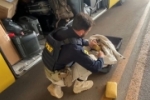 PRF em Rond&ocirc;nia apreende cerca de 20 kg de skunk em &ocirc;nibus na BR&ndash;364