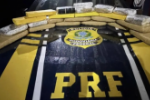 PRF em Rond&ocirc;nia apreende quase 20 kg de entorpecentes em Porto Velho 