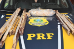 PRF em Rond&ocirc;nia apreende cerca de 6 kg de coca&iacute;na na BR&ndash;364