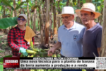 AGRICULTORES NILTON E DORINHA &ndash; Uma nova t&eacute;cnica para plantio de banana da terra aumenta a produ&ccedil;&atilde;o e a renda &ndash; V&iacute;deo