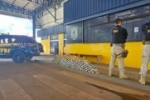PRF em Rond&ocirc;nia apreende cerca de 200 kg de entorpecentes em Vilhena