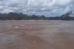 Machadinho do Oeste: quatro pessoas desaparecem ap&oacute;s barco virar no Rio Machado pr&oacute;ximo &agrave; cachoeira 2 de Novembro