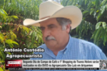 Segundo Dia de Campo de Caf&eacute; e 1&ordm; Shopping de Touros Nelore ser&atilde;o realizados no dia 09/05 na Agropecu&aacute;ria S&atilde;o Luiz em Ariquemes &ndash; V&iacute;deo