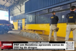 TR&Aacute;FICO DE DROGAS &ndash; PRF em Rond&ocirc;nia apreende cerca de 200 kg de drogas &ndash; V&iacute;deo