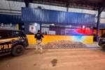 PRF em Rond&ocirc;nia apreende mais de 270 kg de drogas durante fiscaliza&ccedil;&atilde;o na BR&ndash;364