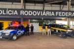 PRF em Rond&ocirc;nia, com apoio da PMRO, apreende mais de 160 KG de subst&acirc;ncia an&aacute;loga &agrave; skunk no munic&iacute;pio de Alvorada D’Oeste