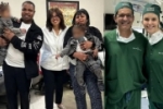 Siamesas unidas pela cabe&ccedil;a s&atilde;o separadas por m&eacute;dico brasileiro em Abu Dhabi; j&aacute; tiveram alta