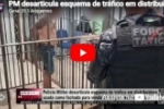 PM desarticula esquema de tr&aacute;fico em distribuidora usada como fachada para venda de drogas em &ndash; V&iacute;deo