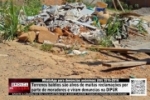 WhatsApp para den&uacute;ncias an&ocirc;nimas (69) 3516&ndash;2016: Terrenos baldios s&atilde;o alvos de muitas reclama&ccedil;&otilde;es por parte de moradores e viram den&uacute;ncias na DIPUR &ndash; V&Iacute;DEO