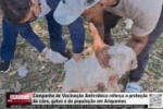 Vacina&ccedil;&atilde;o antirr&aacute;bica acontece neste s&aacute;bado, 29/08 em Ariquemes &ndash; VACINE SEU PET &ndash; V&Iacute;DEO