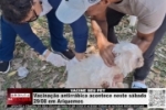 CONFIRA OS PONTOS: Vacina&ccedil;&atilde;o antirr&aacute;bica acontece neste s&aacute;bado, 29/08 em Ariquemes &ndash; V&Iacute;DEO