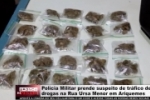Pol&iacute;cia Militar prende suspeito de Tr&aacute;fico de Drogas na Rua Ursa Menor em Ariquemes &ndash; V&Iacute;DEO