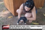 Feira de Ado&ccedil;&atilde;o re&uacute;ne c&atilde;es e gatos em busca de um novo lar em Ariquemes &ndash; V&Iacute;DEO