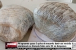 PM apreende quase 03 Kg de Maconha dentro de mochila abandonada na Al. Sabi&aacute; Setor 02 em Ariquemes &ndash; V&Iacute;DEO