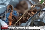 Ossada humana &eacute; localizada por catador de castanhas na mata pr&oacute;ximo ao Rio Branco da BR&ndash;364 &ndash; V&Iacute;DEO