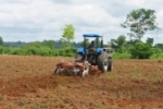 ARIQUEMES: Prefeitura lança programa de mecanização agrícola "Cultivar Rural"