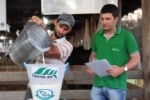 Concurso Leiteiro Regional incentiva pequeno produtor do Vale do Jamari