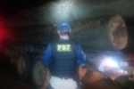 BURITIS: Carga de madeira ilegal é apreendida pela PRF na RO–460