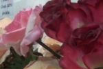 ARIQUEMES: Renove sua decoração com a promoção de flores do Atacadão do Jura