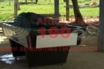 RIO CRESPO: Amarildo é executado a pauladas em cima de mesa de sinuca na LC–100