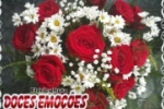 ARIQUEMES: Doces Emoções lança promoção imperdível em buquês de rosas