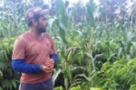Agricultor familiar de Ariquemes trabalha para aumentar a qualidade na lavoura de café