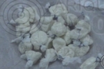 ARIQUEMES: PATAMO apreende mais de 20 parangas de cocaína ao abordar elementos suspeitos no Setor 11