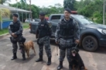 Com início do Campeonato Rondoniense, cães da PM intensificam treinamento para ações de guarda e proteção dentro do estádio