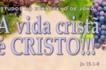 A vida cristã é CRISTO !!! (Evangelho de João) 59 – Jo 15.1–8