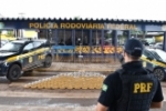 PRF prende casal de Rondônia e apreende carga com mais de 220 quilos de pasta base de cocaína em Mato Grosso