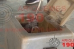ARIQUEMES: Bombeiros capturam cobra em telhado de clube no bairro Coqueiral – Vídeo