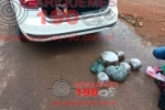 Urgente: Polícia Civil de Machadinho prende passageiro de táxi que transportava grande quantidade de droga