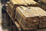 Em Rondônia, PRF identifica transportes irregulares de madeira