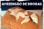 Em Porto Velho/RO, PRF, em Operação Conjunta com o NIIF, apreende quase 3 KG de Cocaína