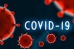 Ariquemes tem 342 novos casos de Covid–19 em 1 dia – aponta edição 819 – Boletim diário sobre o coronavírus em Rondônia