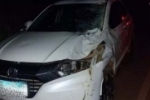 Boi investe contra veículos e acaba morto atropelado na RO–010