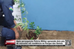 Após perseguição Polícia Militar apreende dois pés de maconha em residência no Parque das Gemas– LIVE: ESTAMOS NO AR! PROGRAMA BRONCA DA PESADA